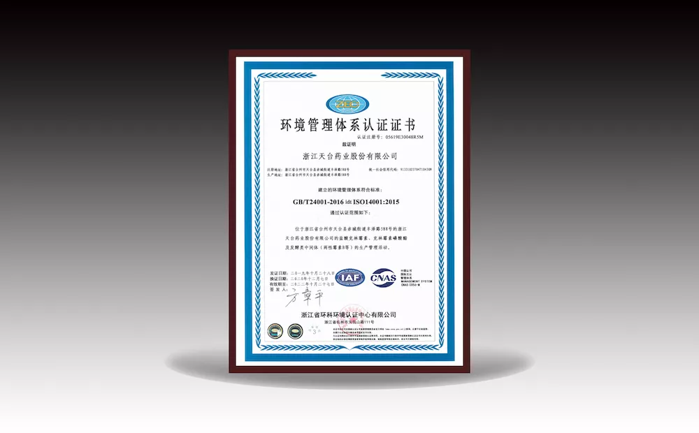 Environmental Management System Certificate